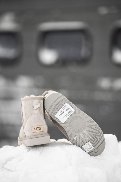 UGG Classic Mini Light Grey Premium 10284-36 фото