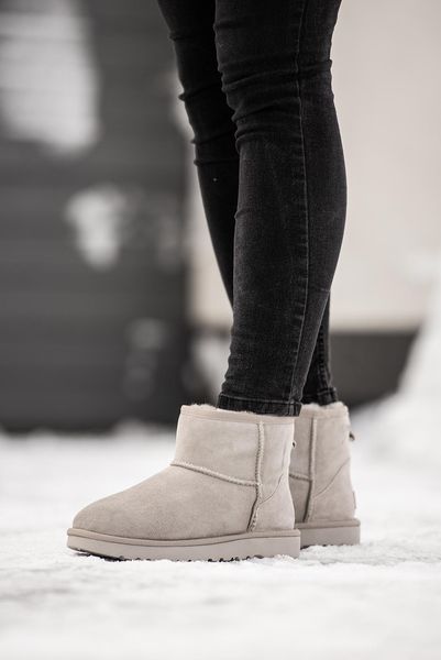 UGG Classic Mini Light Grey Premium 10284-36 фото