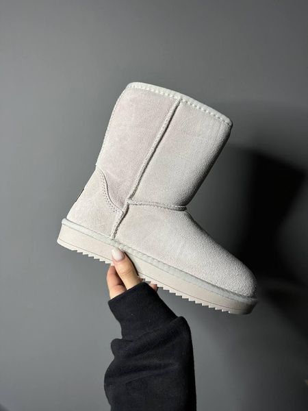 UGG Mid Milk Suede 5308-36 фото