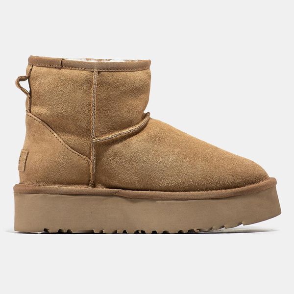 UGG Classic Mini Platform Chestnut 9738-36 фото