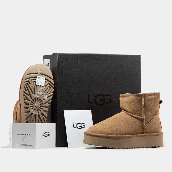 UGG Classic Mini Platform Chestnut 9738-36 фото