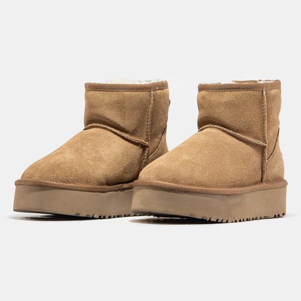 UGG Classic Mini Platform Chestnut 9738-36 фото