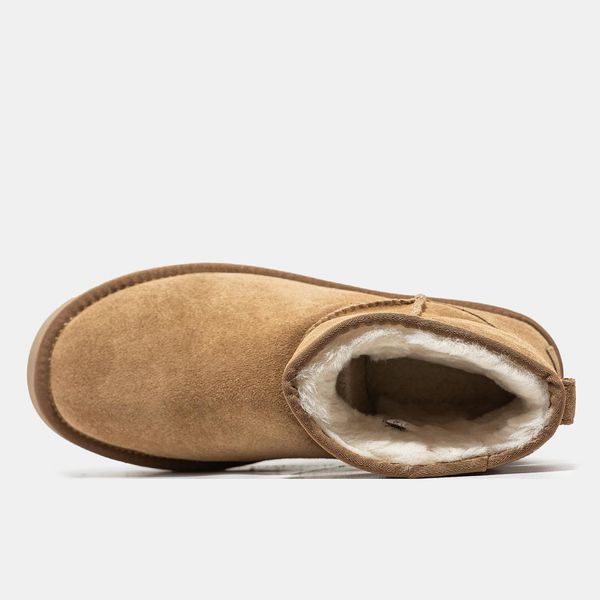 UGG Classic Mini Platform Chestnut 9738-36 фото